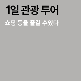 1일 관광 투어 쇼핑 등을 즐길 수있다